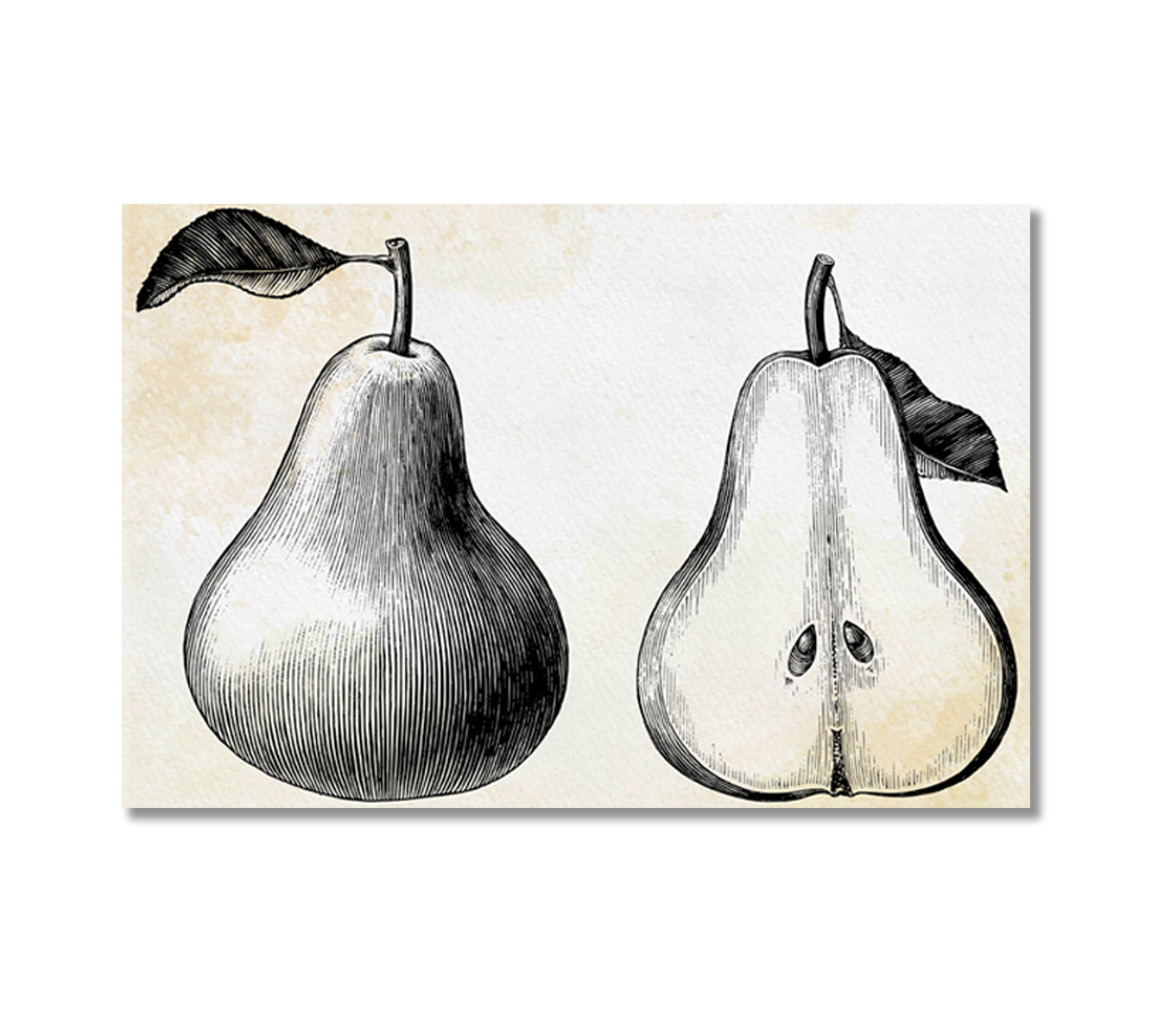 Pear Vintage Canvas Wall Art-Canvas Print-CetArt-1 Panel-24x16 inches-CetArt