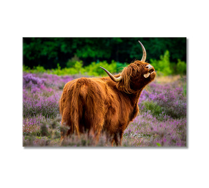 Highland Cows in Meadow Wall Art Decor-Canvas Print-CetArt-1 Panel-24x16 inches-CetArt