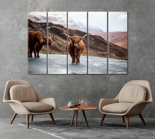 Scottish Highland Cows Home Art Decor-Canvas Print-CetArt-1 Panel-24x16 inches-CetArt