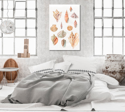 Seashells Art for Room Wall Decor-Canvas Print-CetArt-1 panel-16x24 inches-CetArt