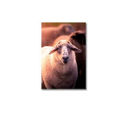 Sheep Portrait Canvas Interior Design-Canvas Print-CetArt-1 panel-16x24 inches-CetArt