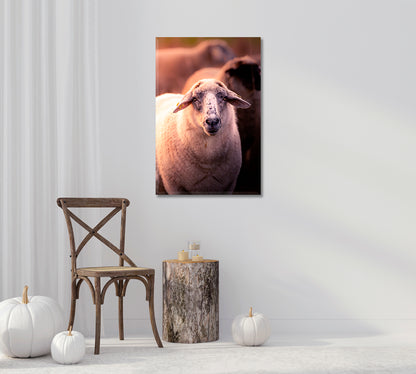 Sheep Portrait Canvas Interior Design-Canvas Print-CetArt-1 panel-16x24 inches-CetArt