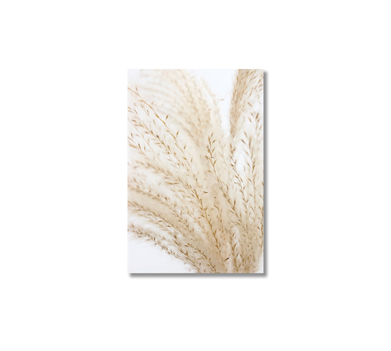 Pampas Grass Minimalistic Canvas Wall Art-Canvas Print-CetArt-1 panel-16x24 inches-CetArt