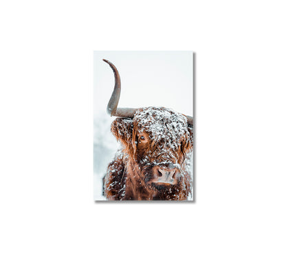 Highland Cow Covered With Snow Art Canvas-Canvas Print-CetArt-1 panel-16x24 inches-CetArt