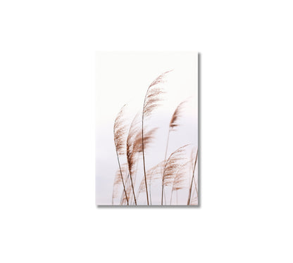 Tender Pampas Grass Pastel Wall Art-Canvas Print-CetArt-1 panel-16x24 inches-CetArt