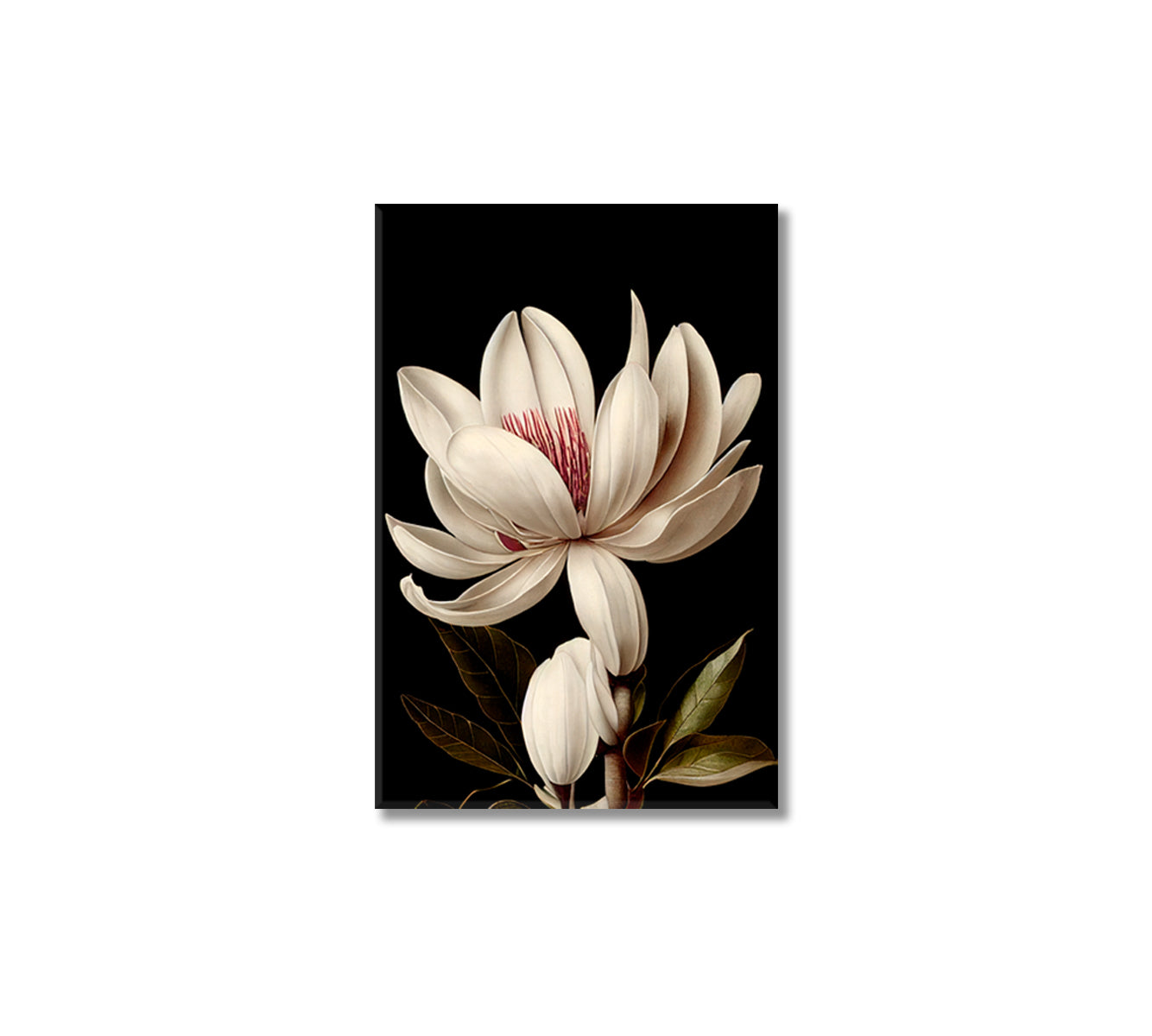 Magnolia Flower Interior Wall Decor-Canvas Print-CetArt-1 panel-16x24 inches-CetArt