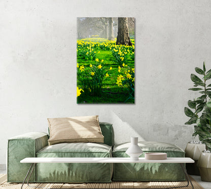 Blooming Daffodils Flowers Canvas Wall Art-Canvas Print-CetArt-1 panel-16x24 inches-CetArt