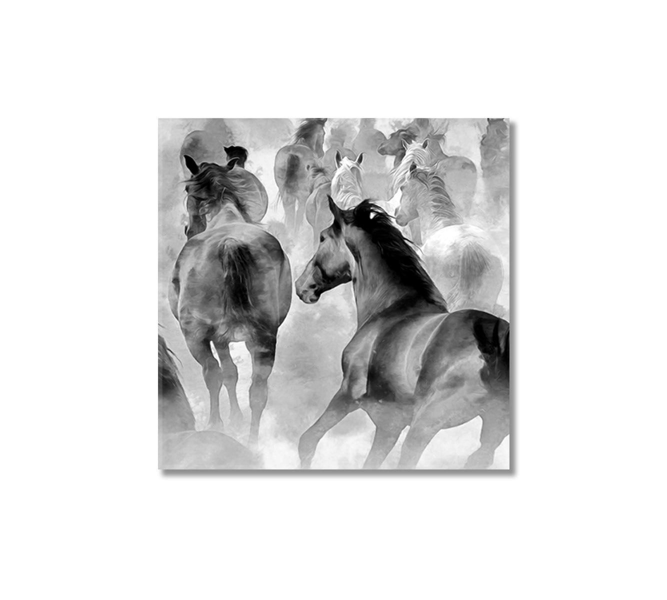 Horses Black and White Wall Decor-Canvas Print-CetArt-1 panel-12x12 inches-CetArt