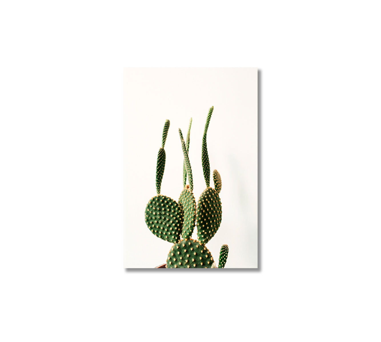 Succulent Cactus Canvas Print Wall Decoration-Canvas Print-CetArt-1 panel-16x24 inches-CetArt