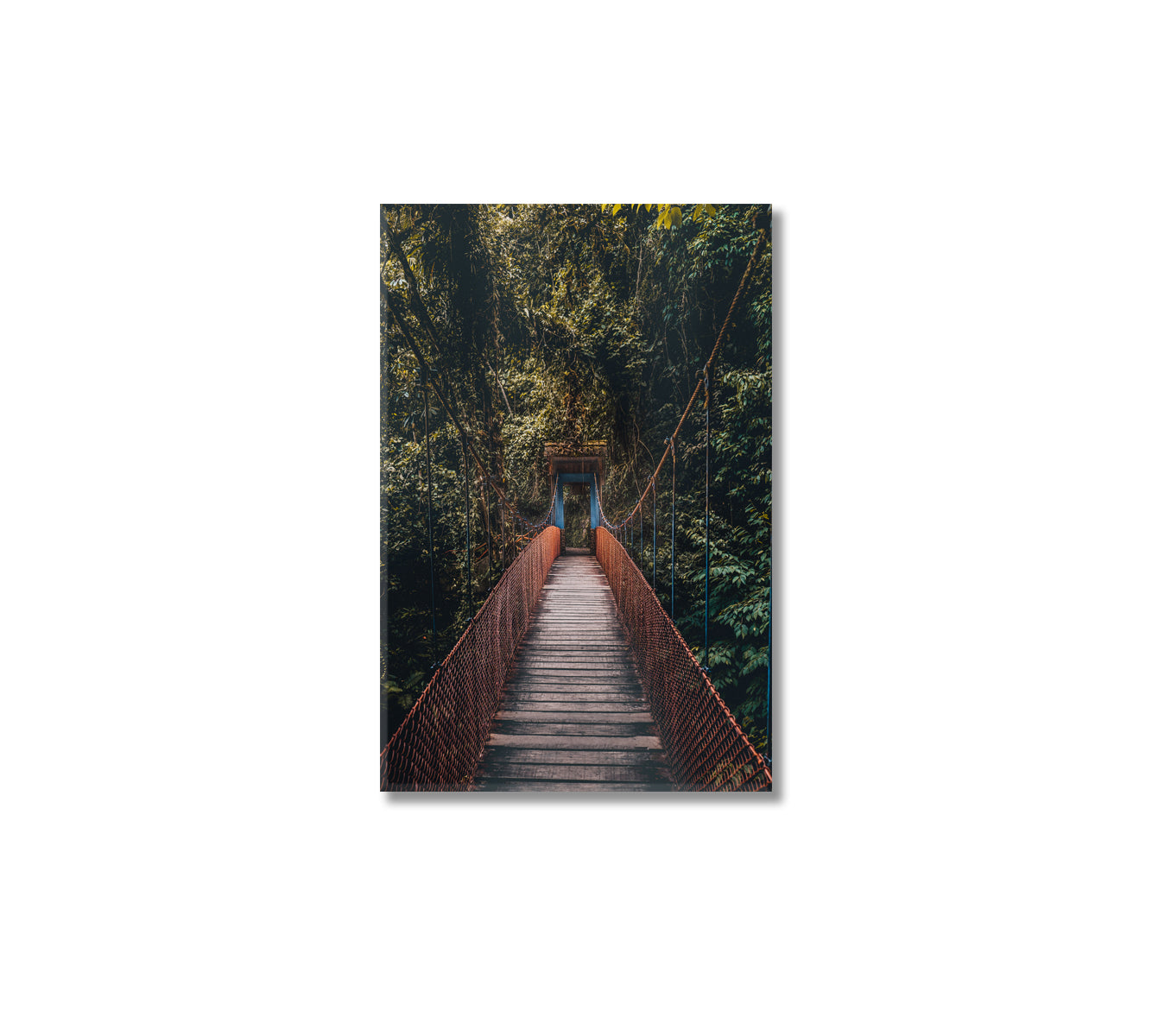 Tingo Maria Bridge Wall Art Canvas-Canvas Print-CetArt-1 panel-16x24 inches-CetArt