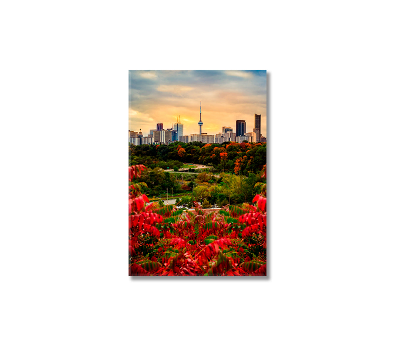 Toronto Ready to Hang Canvas-Canvas Print-CetArt-1 panel-16x24 inches-CetArt