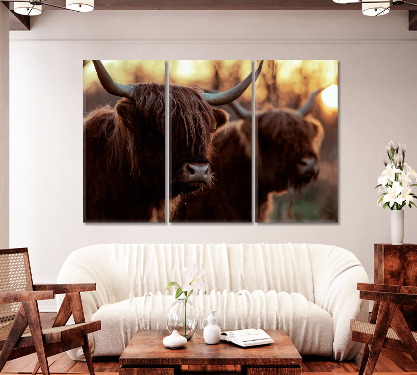 Highland Сows Trendy Giclee Print-Canvas Print-CetArt-1 Panel-24x16 inches-CetArt