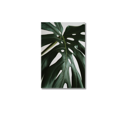 Monstera Leaves Canvas Home Art Decor-Canvas Print-CetArt-1 panel-16x24 inches-CetArt