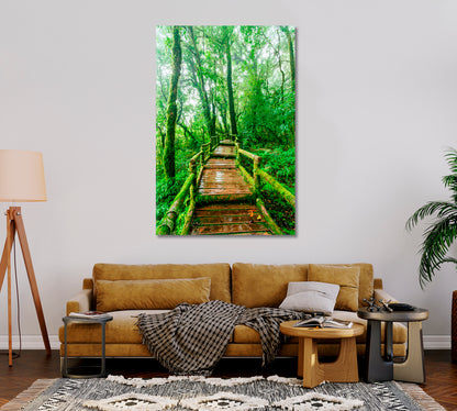 Beautiful Rain Forest Trail Canvas Print-Canvas Print-CetArt-1 panel-16x24 inches-CetArt