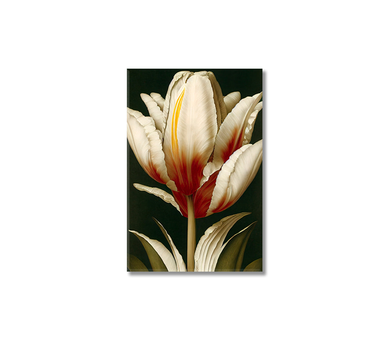 Beautiful Tulip Flower Canvas Home Decor-Canvas Print-CetArt-1 panel-16x24 inches-CetArt