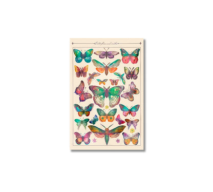 Vintage Butterfly Canvas Home Wall Art-Canvas Print-CetArt-1 panel-16x24 inches-CetArt