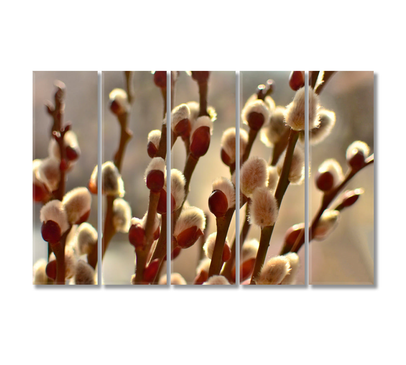 Willow Branches Wall Canvas Art Print-Canvas Print-CetArt-5 Panels-36x24 inches-CetArt