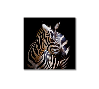 Burchell Zebra Wall Art Decor-Canvas Print-CetArt-1 panel-12x12 inches-CetArt