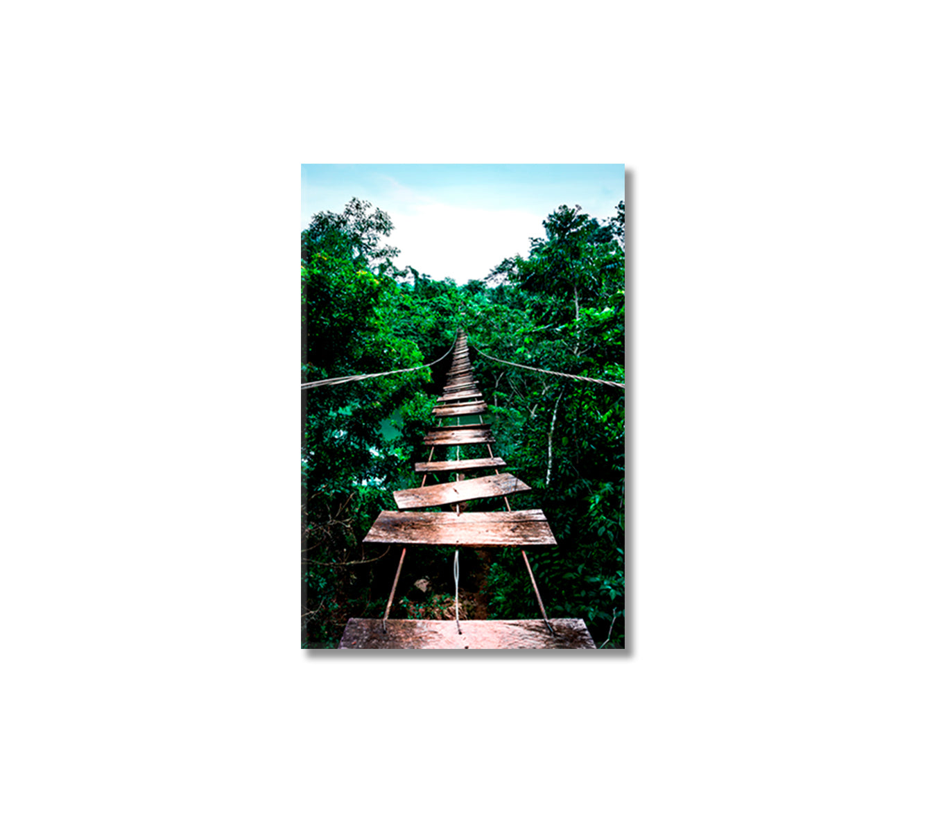 Jungle Rope Bridge Print Wall Art-Canvas Print-CetArt-1 panel-16x24 inches-CetArt