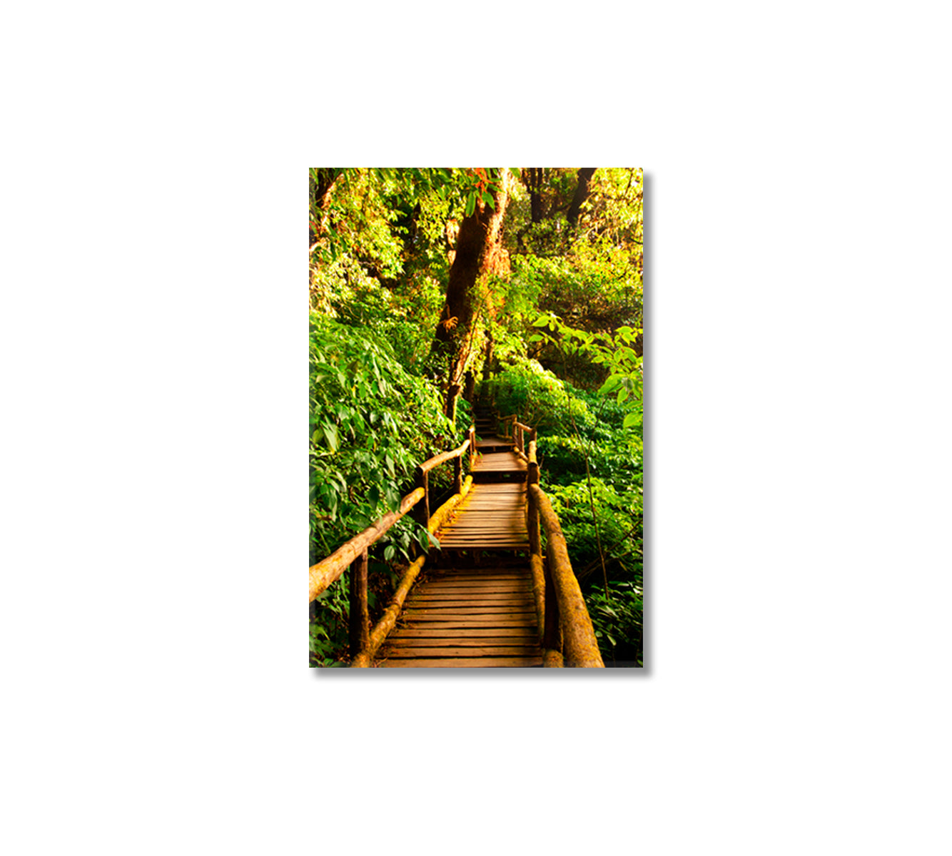 Beautiful Rain Forest Canvas Wall Art-Canvas Print-CetArt-1 panel-16x24 inches-CetArt