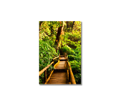 Beautiful Rain Forest Canvas Wall Art-Canvas Print-CetArt-1 panel-16x24 inches-CetArt