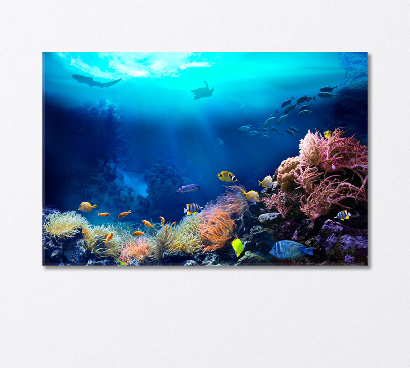 Underwater World Coral Reefs Canvas Print-Canvas Print-CetArt-1 Panel-24x16 inches-CetArt