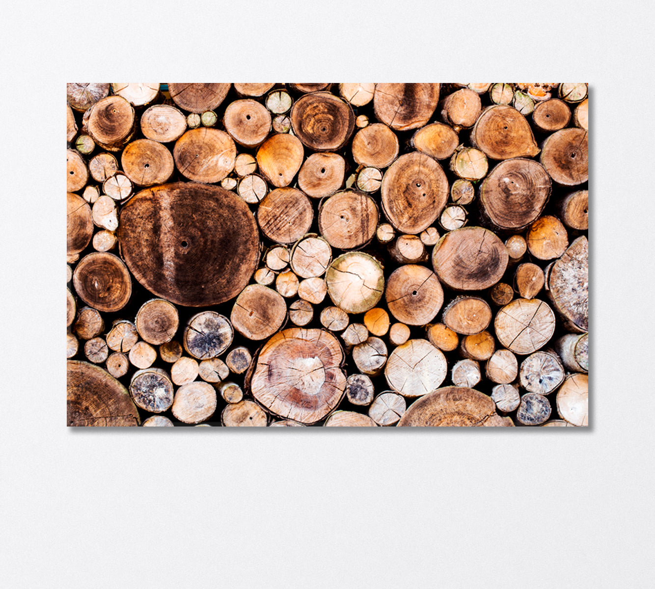 Stunningly Laid Out Cut Logs Canvas Print-Canvas Print-CetArt-1 Panel-24x16 inches-CetArt