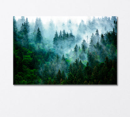 Foggy Mystical Spruce Forest Canvas Print-Canvas Print-CetArt-1 Panel-24x16 inches-CetArt