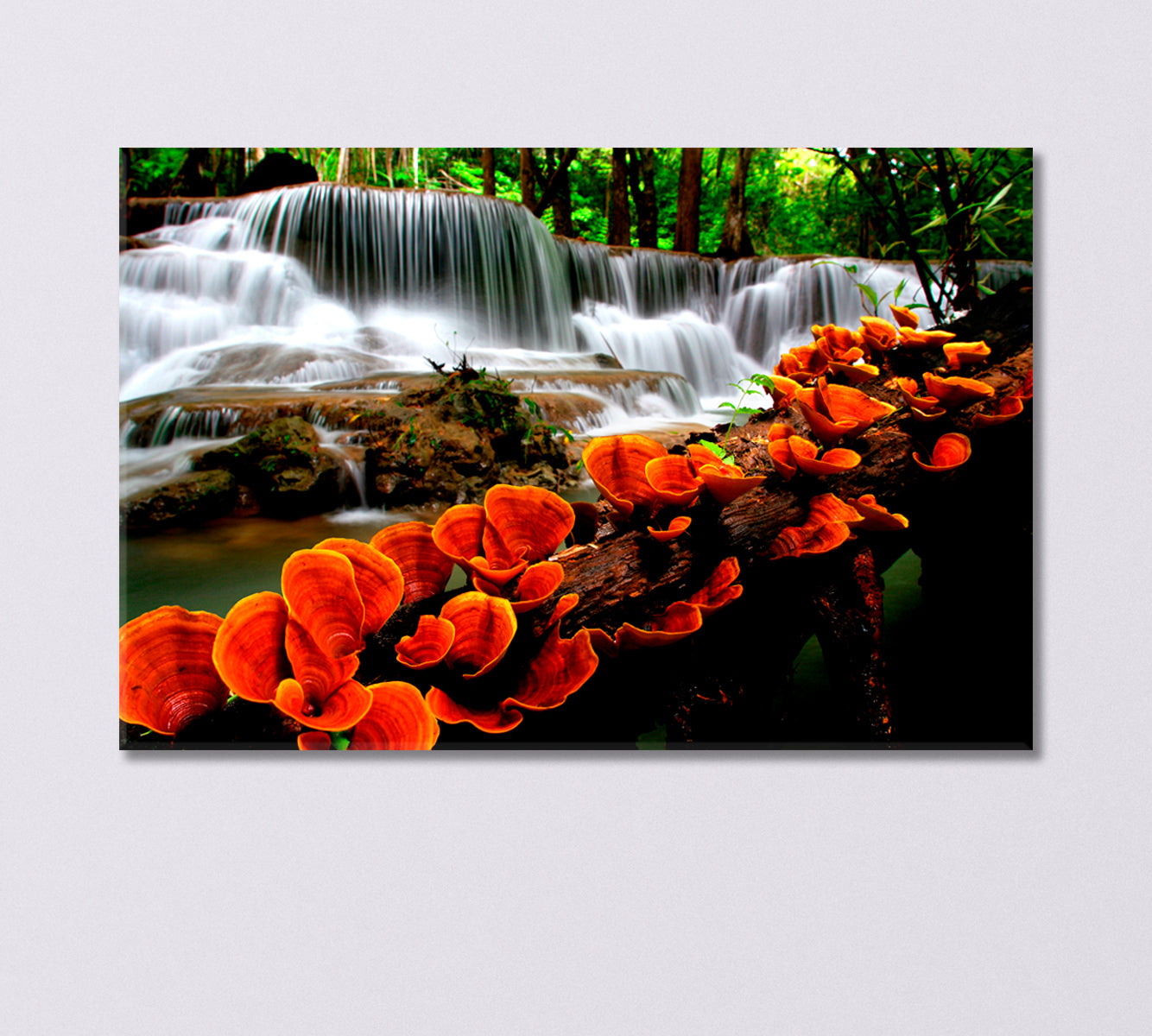 Unusual Orange Mushrooms by the Waterfall Canvas Print-Canvas Print-CetArt-1 Panel-24x16 inches-CetArt