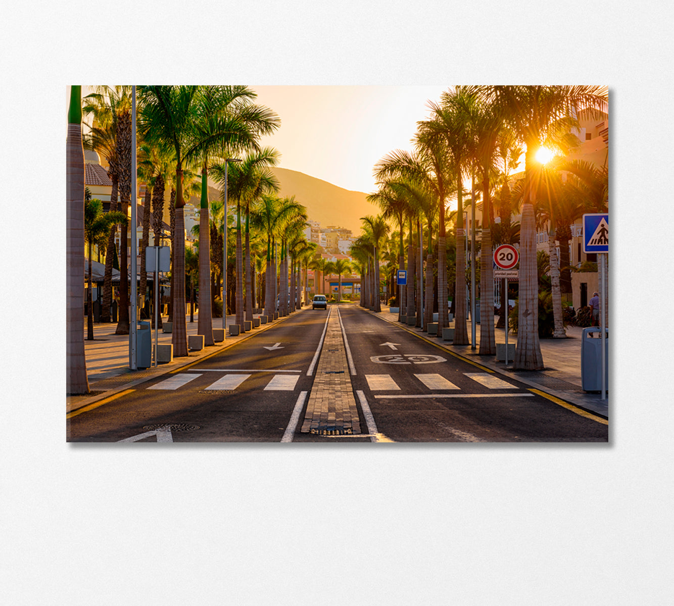 Row of Palm Trees on Avenue Las Americas Canary Islands Canvas Print-Canvas Print-CetArt-1 Panel-24x16 inches-CetArt