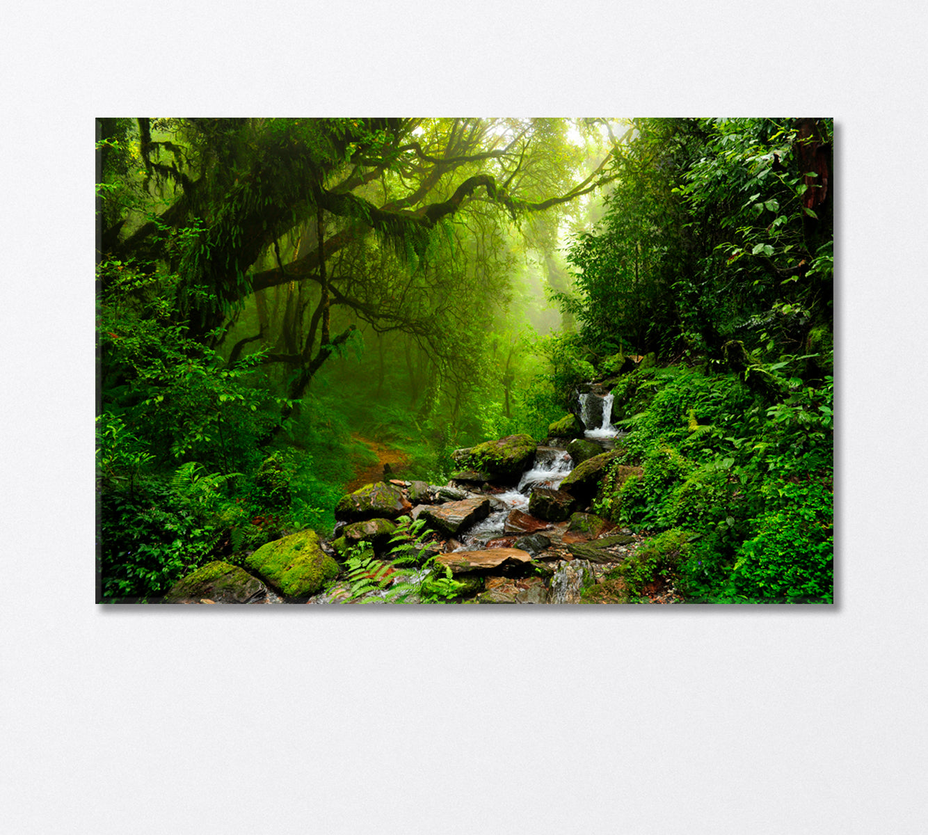 Subtropical Forest in Nepal Canvas Print-Canvas Print-CetArt-1 Panel-24x16 inches-CetArt