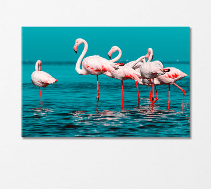 Group of White Flamingos Standing in Water Canvas Print-Canvas Print-CetArt-1 Panel-24x16 inches-CetArt