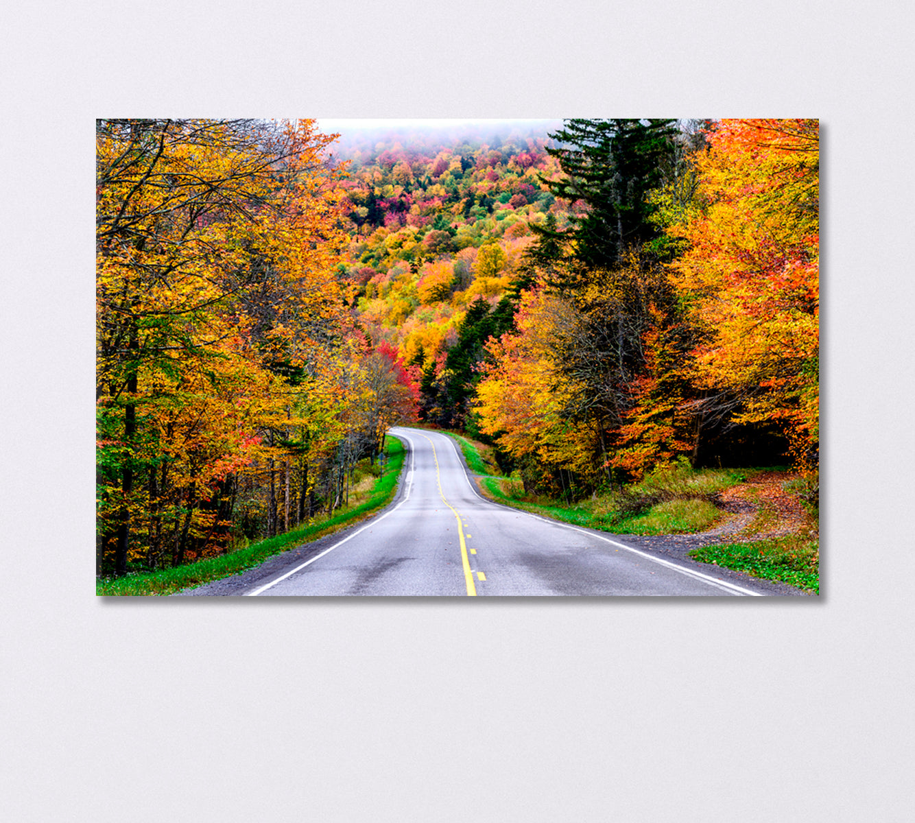 Autumn Road to Monongahela National Forest USA Canvas Print-Canvas Print-CetArt-1 Panel-24x16 inches-CetArt