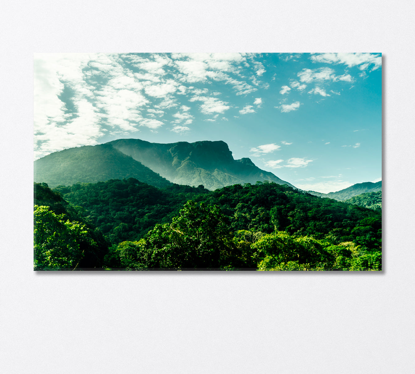 Santa Catarina Coast Hills Brazil Canvas Print-Canvas Print-CetArt-1 Panel-24x16 inches-CetArt