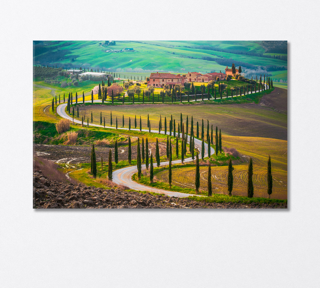 Sunny Fields in Tuscany Italy Canvas Print-Canvas Print-CetArt-1 Panel-24x16 inches-CetArt