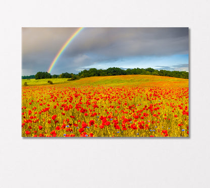 Rainbow over Poppy Field Canvas Print-Canvas Print-CetArt-1 Panel-24x16 inches-CetArt