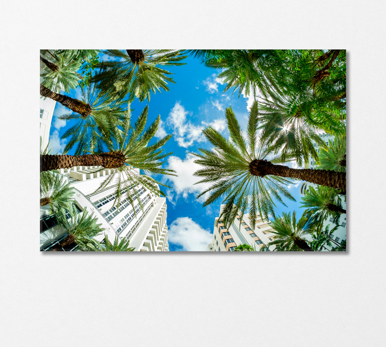 Miami Cityscape View with Palm Trees Canvas Print-Canvas Print-CetArt-1 Panel-24x16 inches-CetArt