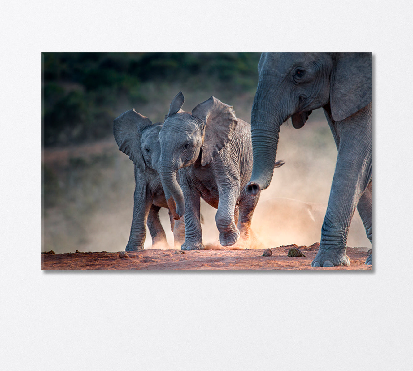 Young African Elephants Racing Toward the Water Canvas Print-Canvas Print-CetArt-1 Panel-24x16 inches-CetArt