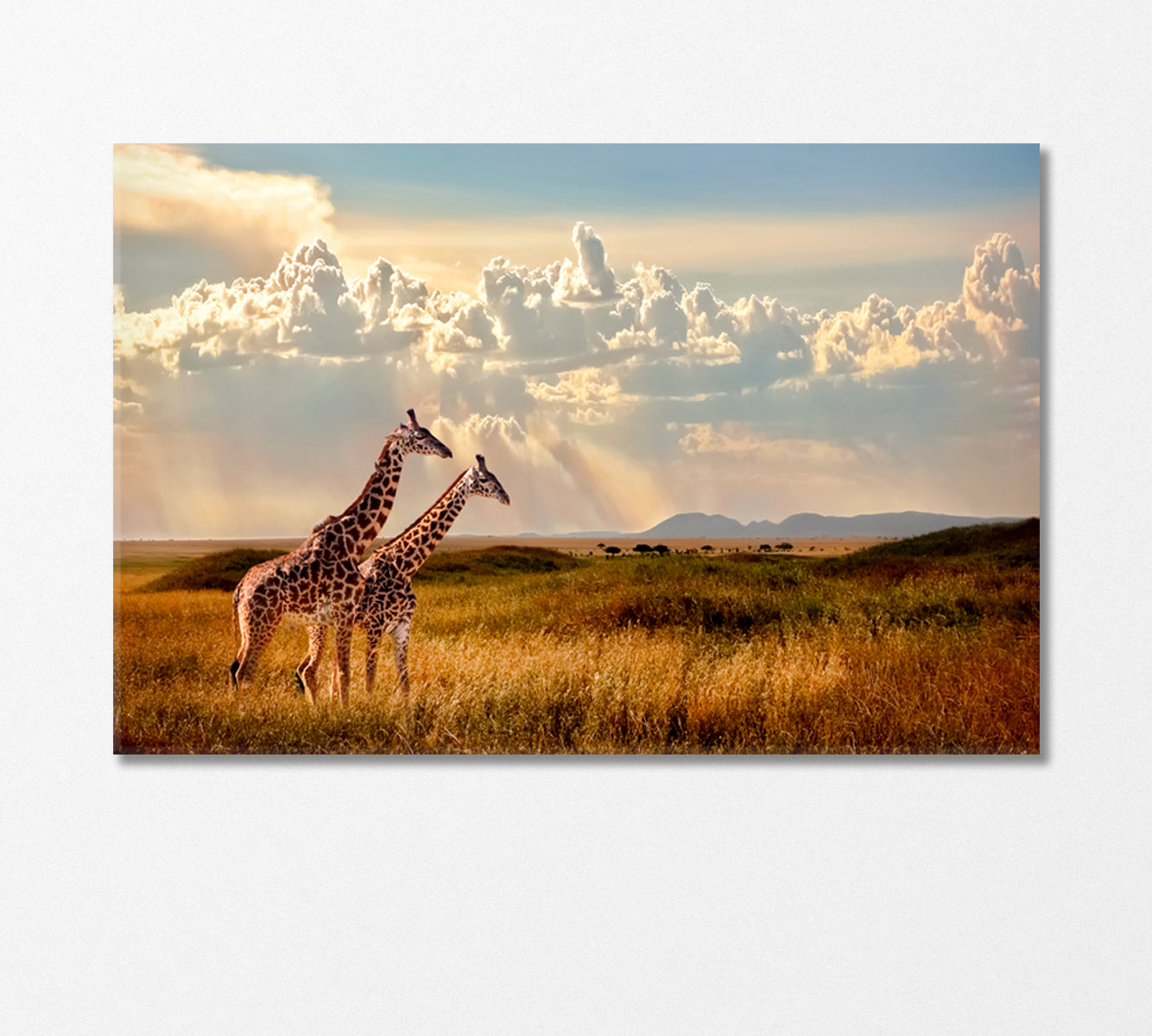 Two Giraffes in Serengeti National Park Africa Canvas Print-Canvas Print-CetArt-1 Panel-24x16 inches-CetArt