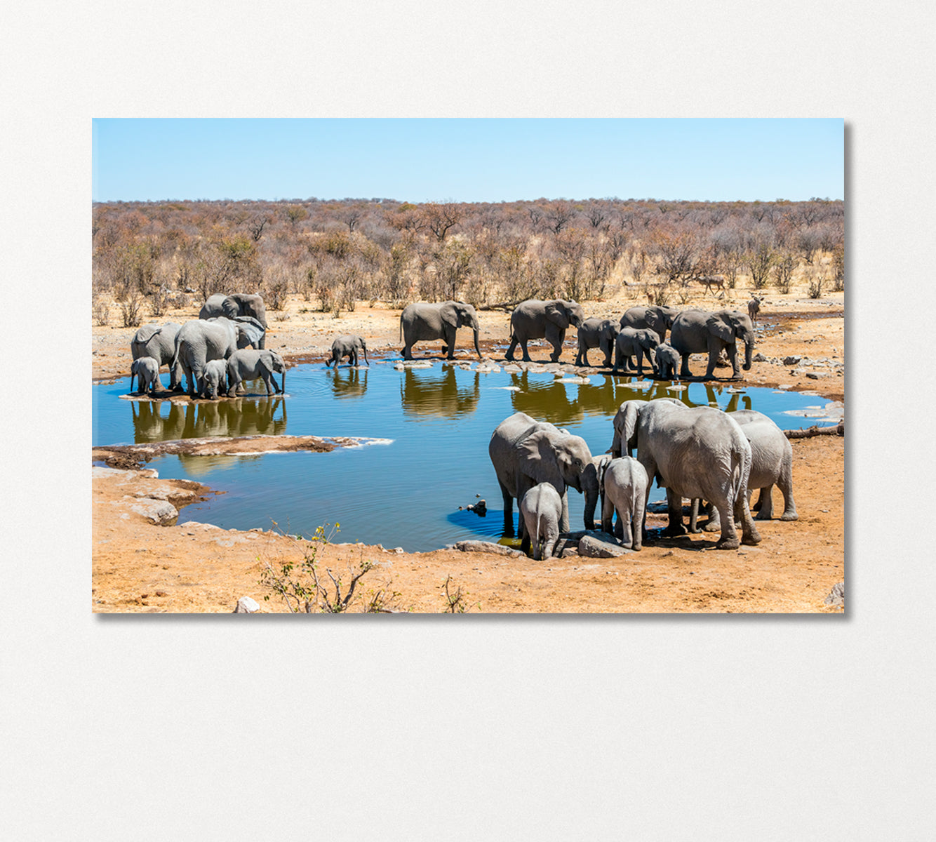 Large Family of African Elephants Drinking at a Waterhole Canvas Print-Canvas Print-CetArt-1 Panel-24x16 inches-CetArt