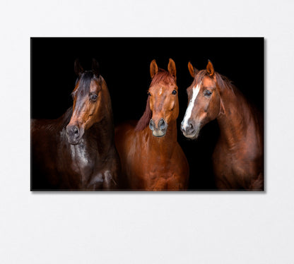 Portrait of Three Graceful Horses Canvas Print-Canvas Print-CetArt-1 Panel-24x16 inches-CetArt