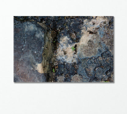 Abstract Grey Rock Canvas Print-Canvas Print-CetArt-1 Panel-24x16 inches-CetArt