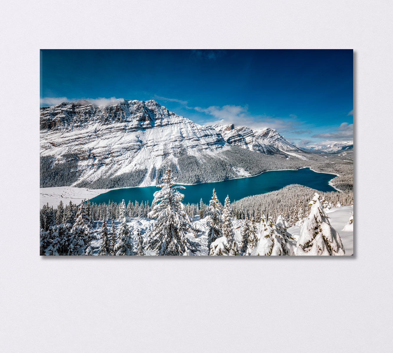 Peyto Lake in Winter in Banff National Park Canada Canvas Print-Canvas Print-CetArt-1 Panel-24x16 inches-CetArt