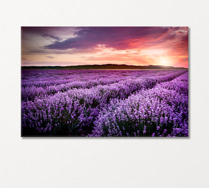 Lavender Field under the Summer Sunset Canvas Print-Canvas Print-CetArt-1 Panel-24x16 inches-CetArt