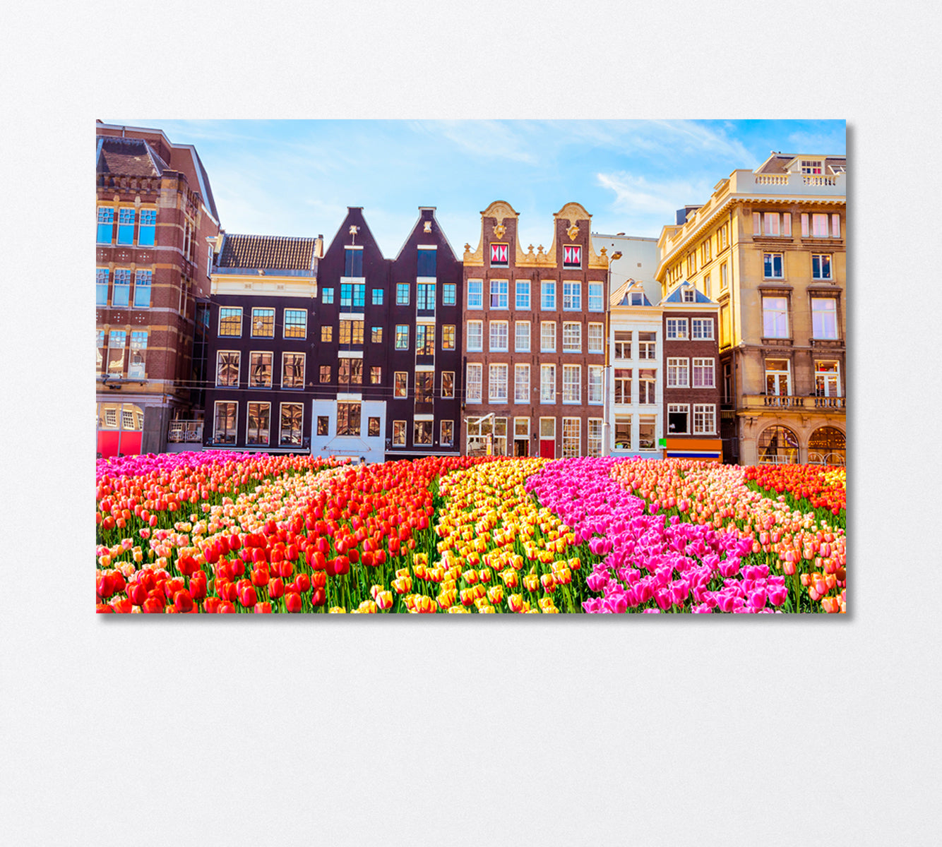 Traditional Buildings and Tulips in Amsterdam Canvas Print-Canvas Print-CetArt-1 Panel-24x16 inches-CetArt