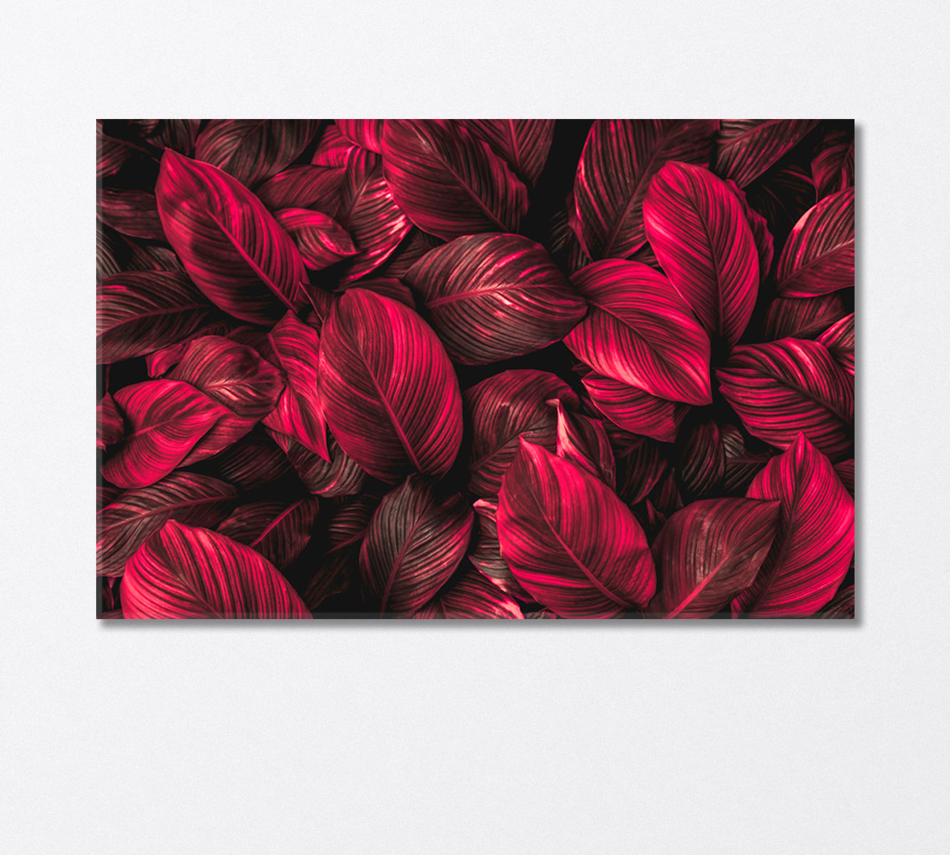 Red Leaves of Spathiphyllum Canvas Print-Canvas Print-CetArt-1 Panel-24x16 inches-CetArt