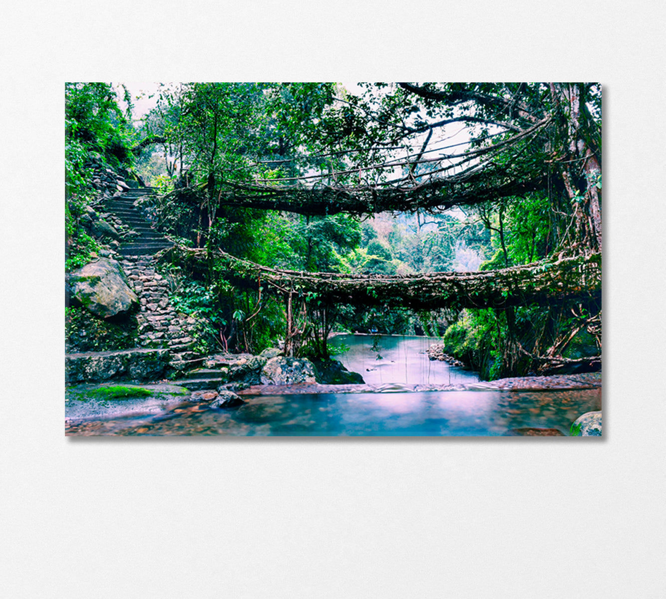 Living Root Bridge India Canvas Print-Canvas Print-CetArt-1 Panel-24x16 inches-CetArt