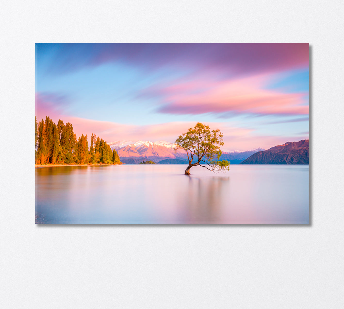 Wanaka Tree at Sunrise Canvas Print-Canvas Print-CetArt-1 Panel-24x16 inches-CetArt