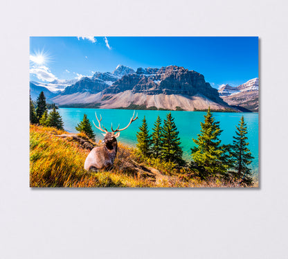 Deer with Forked Antlers near Glacial Lake Bow Canada Canvas Print-Canvas Print-CetArt-1 Panel-24x16 inches-CetArt