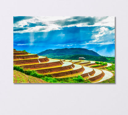 Rice Fields in Thailand Canvas Print-Canvas Print-CetArt-1 Panel-24x16 inches-CetArt